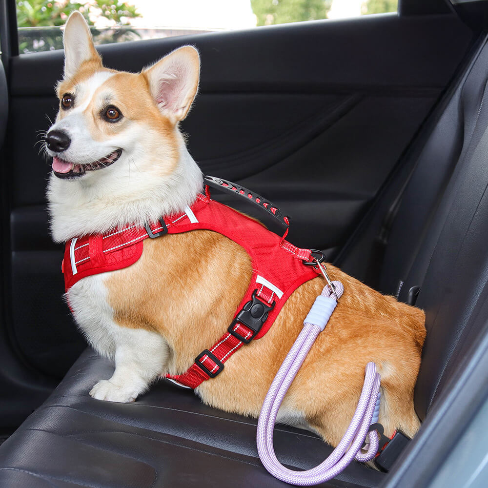 Anti-Zieh Nylon Hund Autositz Sicherheitsgurt