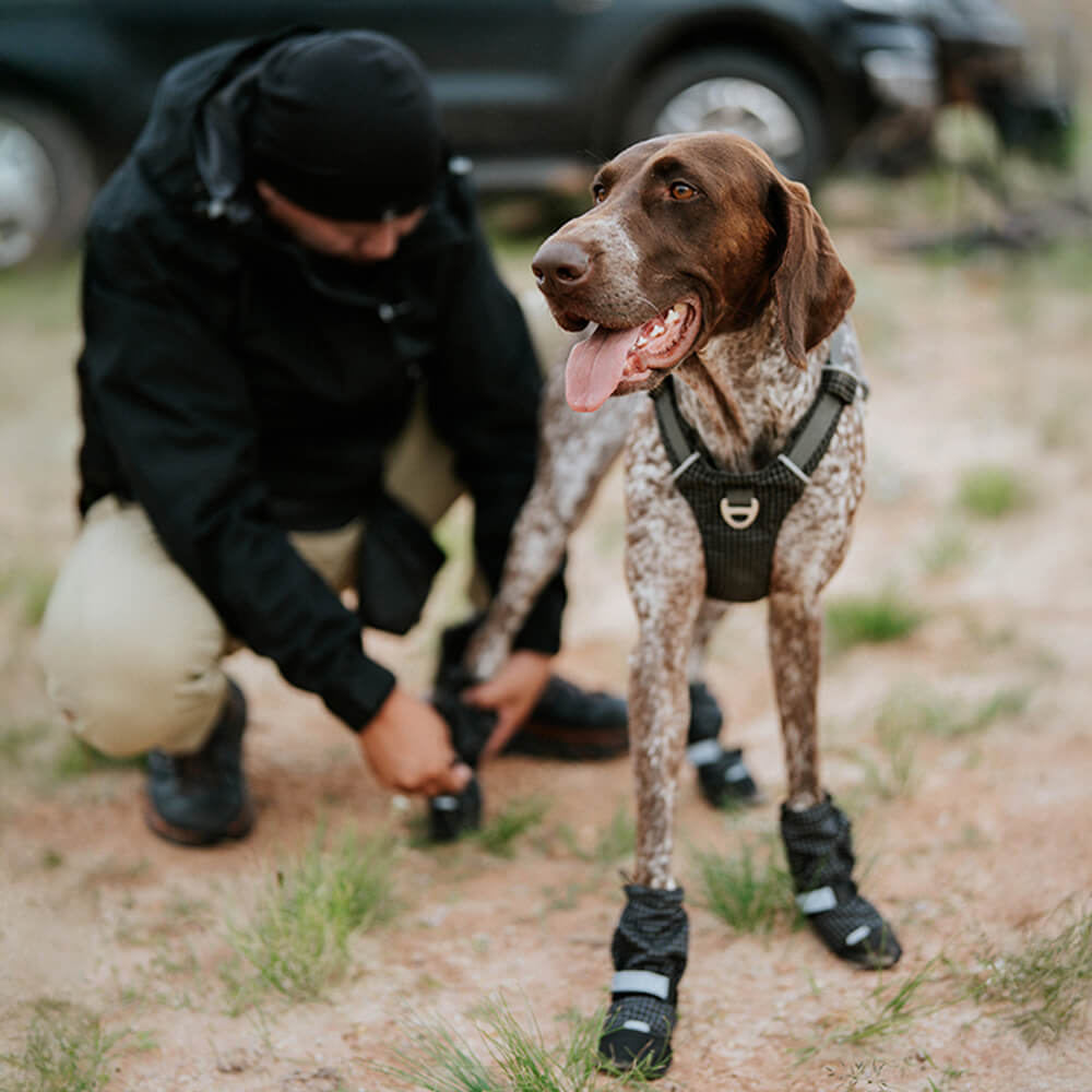 Schicke Wasserdichte Reflektierende Rutschfeste Hundestiefel aus Gummi mit Klettverschluss für den Außenbereich