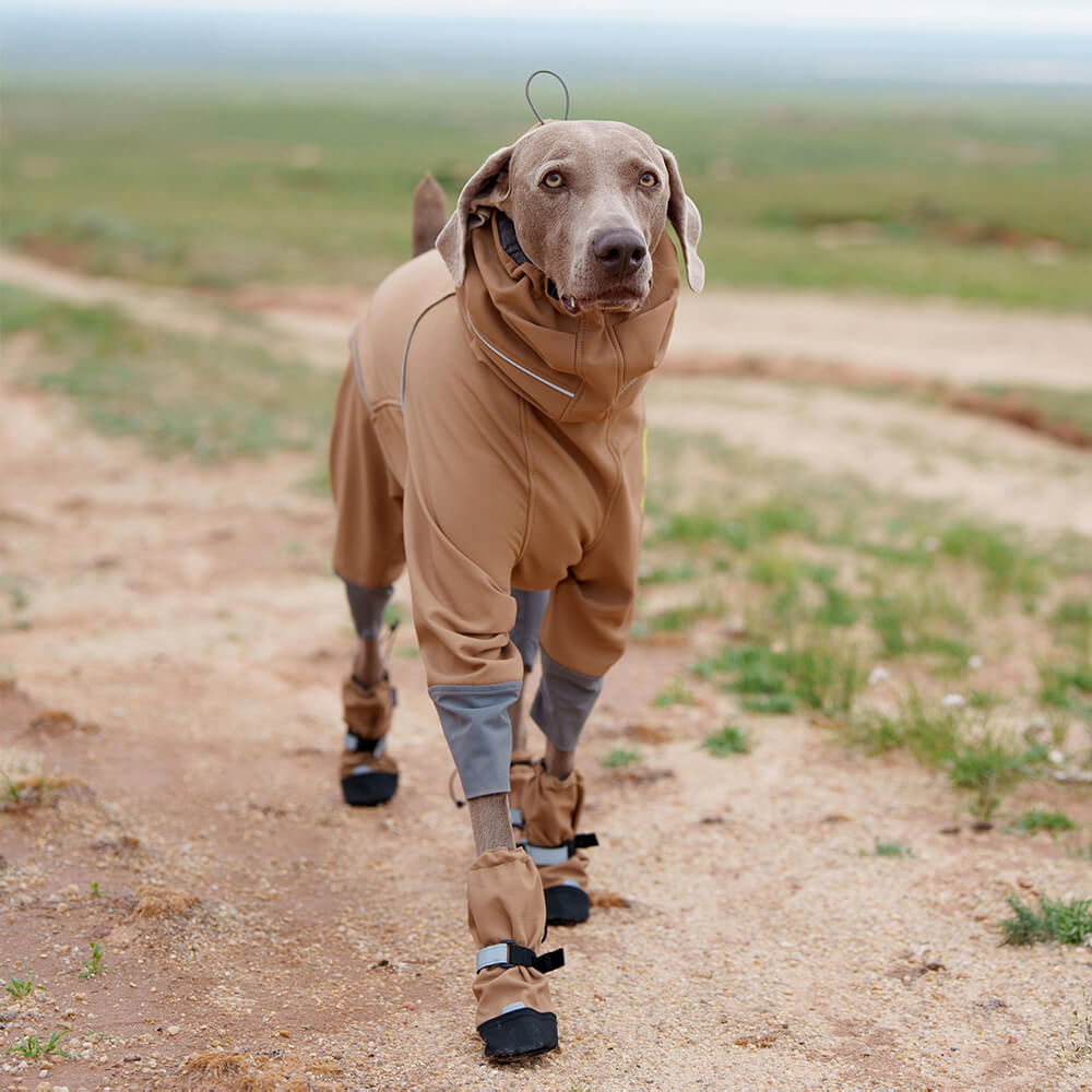 Schicke Wasserdichte Reflektierende Rutschfeste Hundestiefel aus Gummi mit Klettverschluss für den Außenbereich