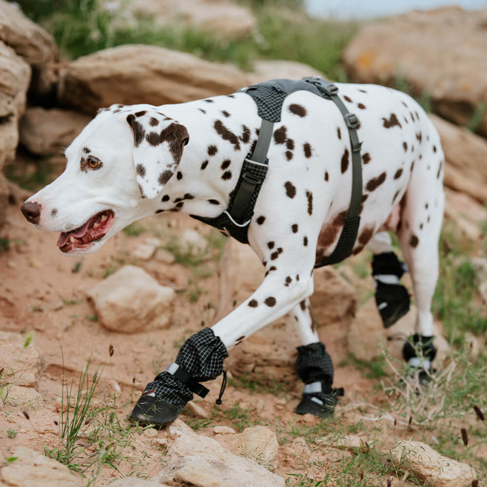 Schicke Wasserdichte Reflektierende Rutschfeste Hundestiefel aus Gummi mit Klettverschluss für den Außenbereich