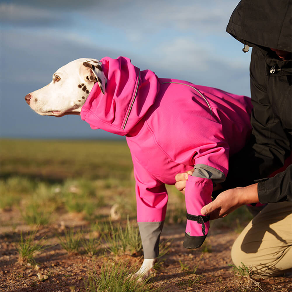 Schicke Wasserdichte Reflektierende Rutschfeste Hundestiefel aus Gummi mit Klettverschluss für den Außenbereich