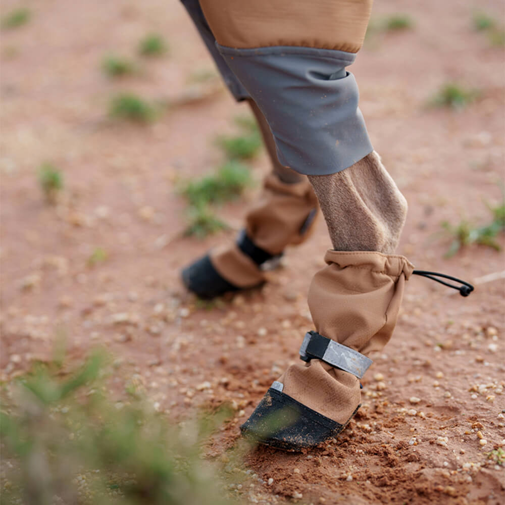 Schicke Wasserdichte Reflektierende Rutschfeste Hundestiefel aus Gummi mit Klettverschluss für den Außenbereich