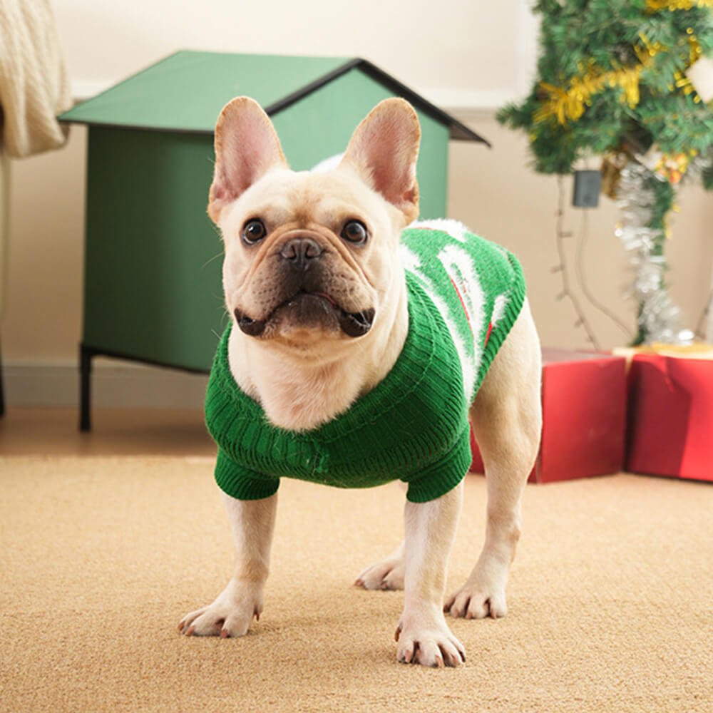 Weihnachtsrollkragenpullover für Hunde - passender Pullover für Hunde und Besitzer