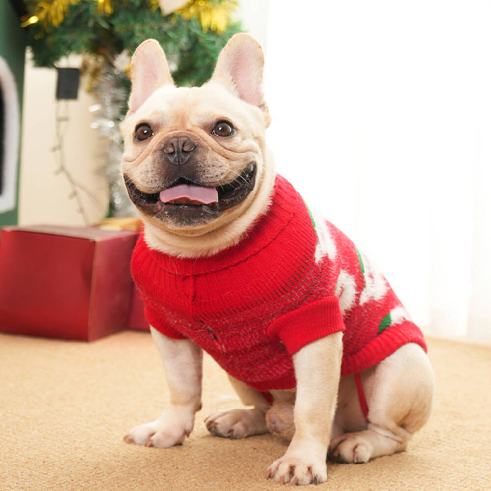 Weihnachtsrollkragenpullover für Hunde - passender Pullover für Hunde und Besitzer