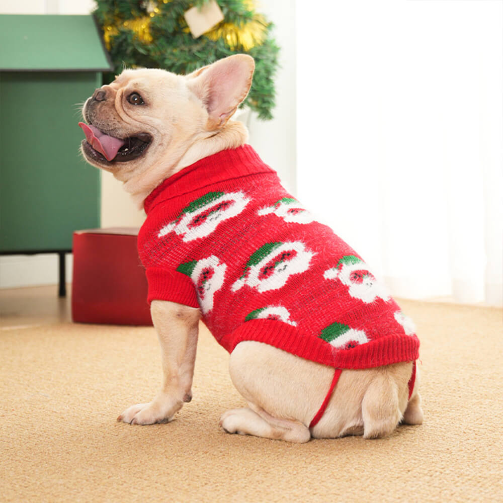 Weihnachtsrollkragenpullover für Hunde - passender Pullover für Hunde und Besitzer