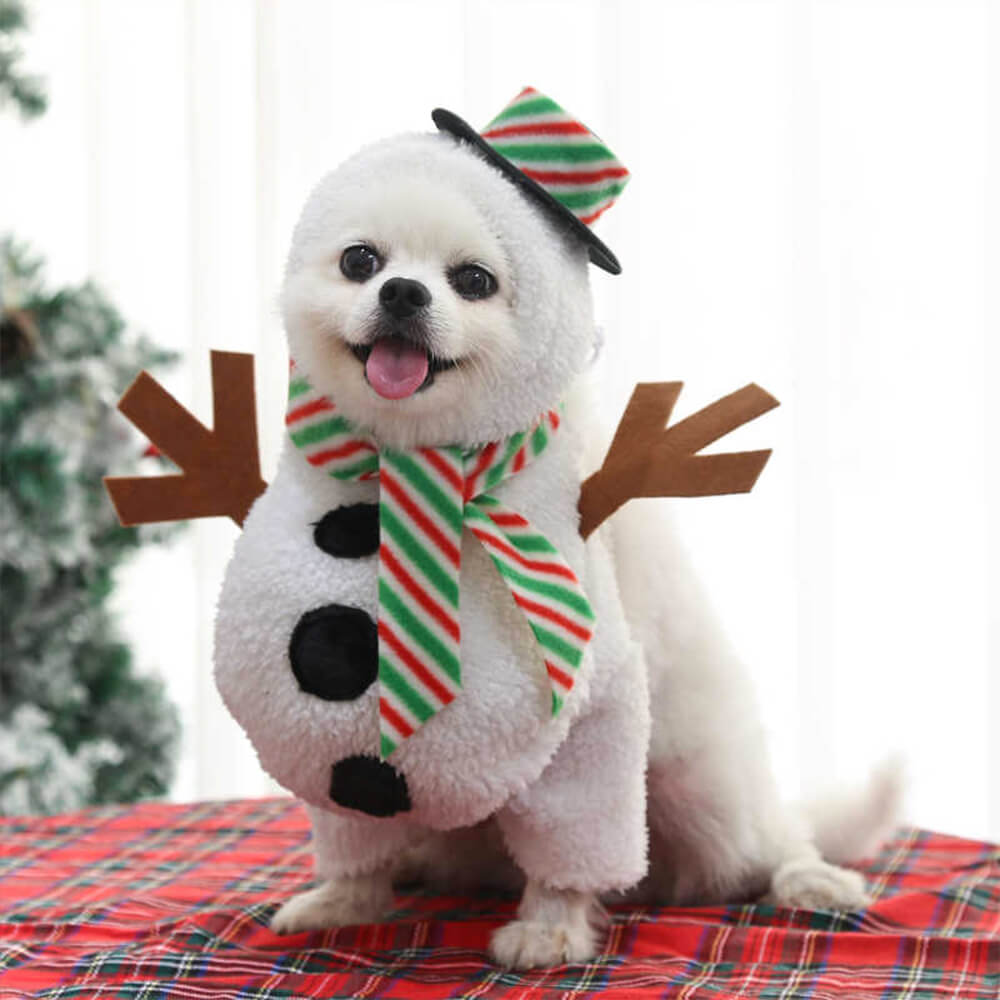 Weihnachtskostüm mit laufendem Schneemann Cosplay-Outfit für Hunde und Katzen