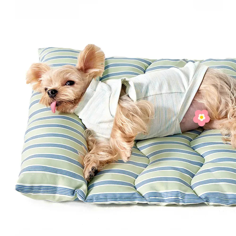 Farbblockierte gestreifte atmungsaktive doppelseitige weiche Haustiermatte