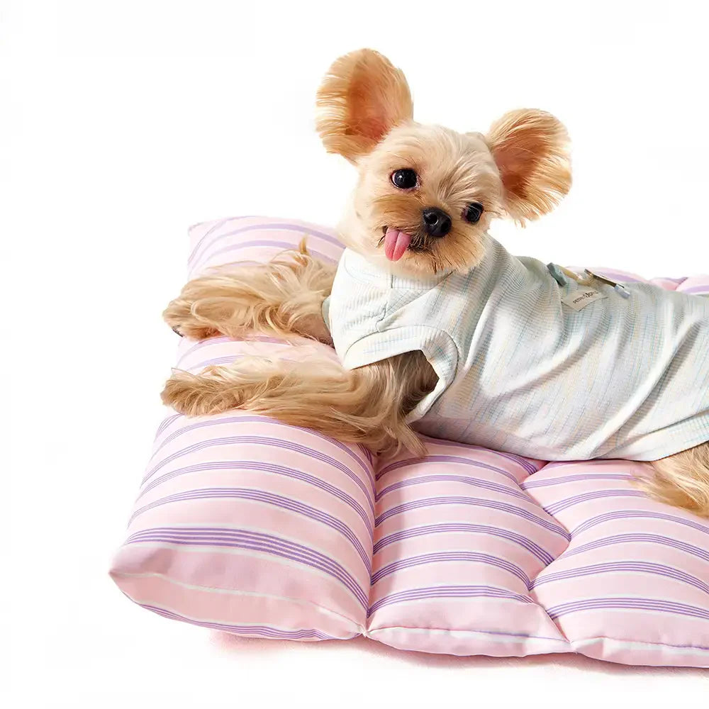 Farbblockierte gestreifte atmungsaktive doppelseitige weiche Haustiermatte