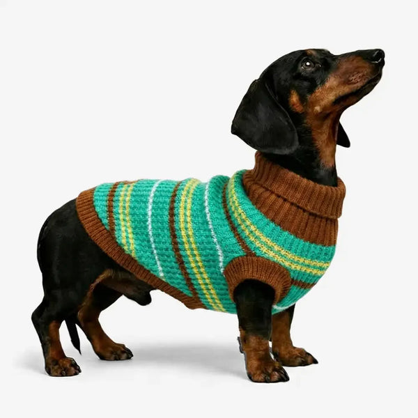 Farbblockierte gestreifte Dackel Hundepullover