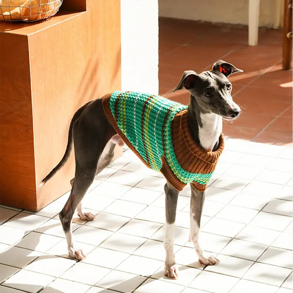 Farbblockierte gestreifte Dackel Hundepullover
