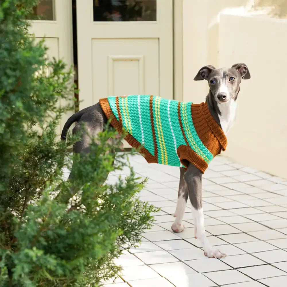 Farbblockierte gestreifte Dackel Hundepullover