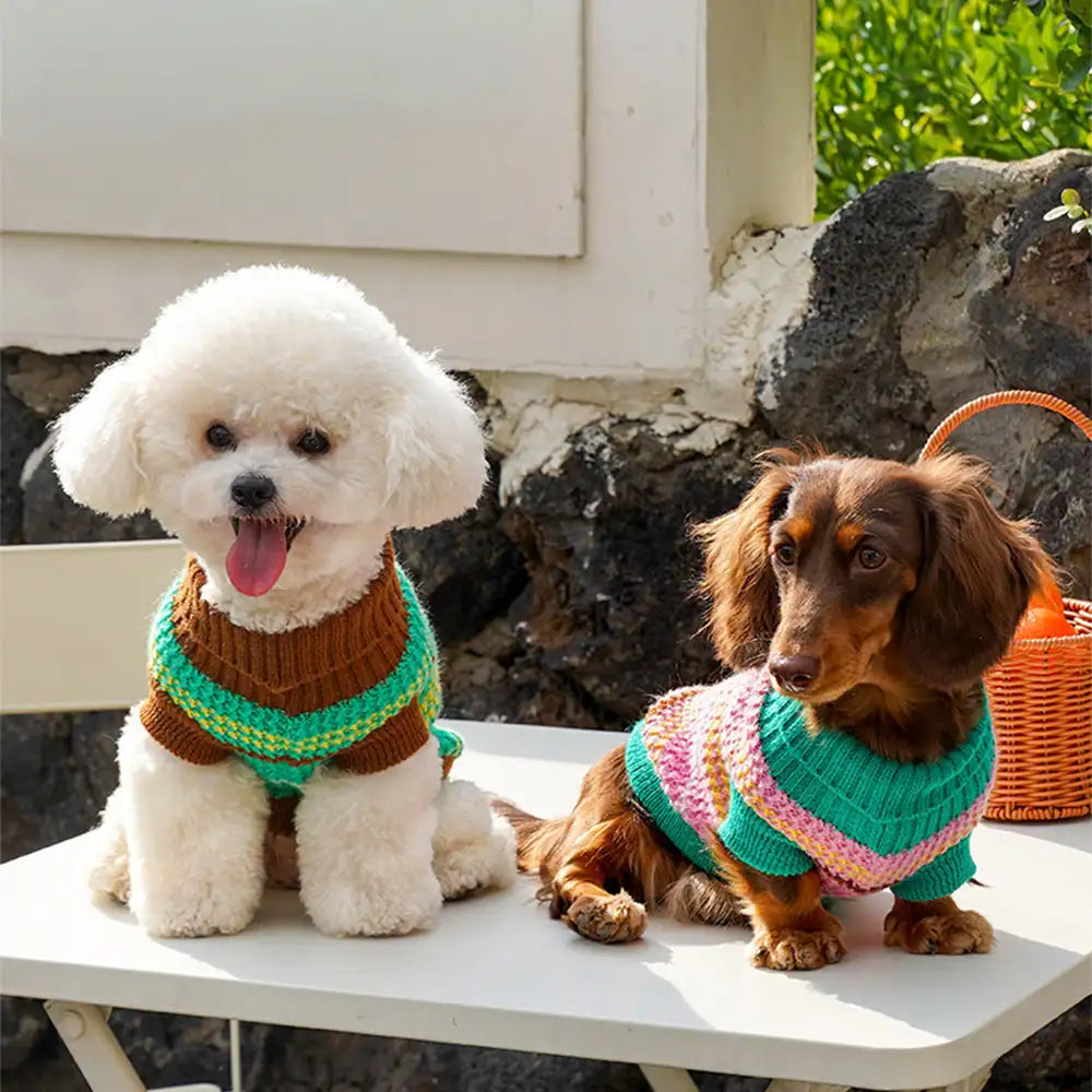 Farbblockierte gestreifte Dackel Hundepullover