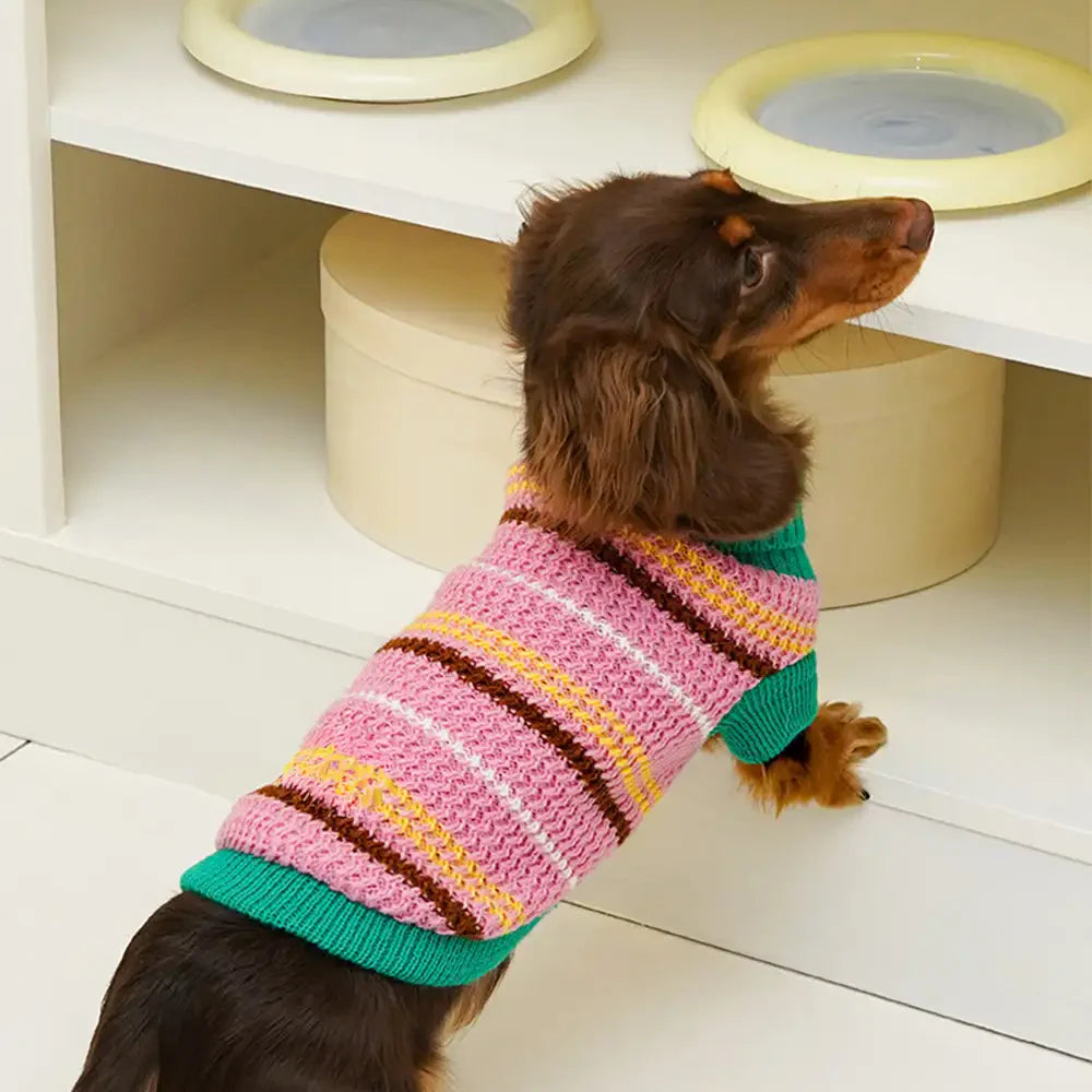 Farbblockierte gestreifte Dackel Hundepullover