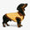 Farbblockiertes gestreiftes Dackel-Polo-Kragen-Hundepullover