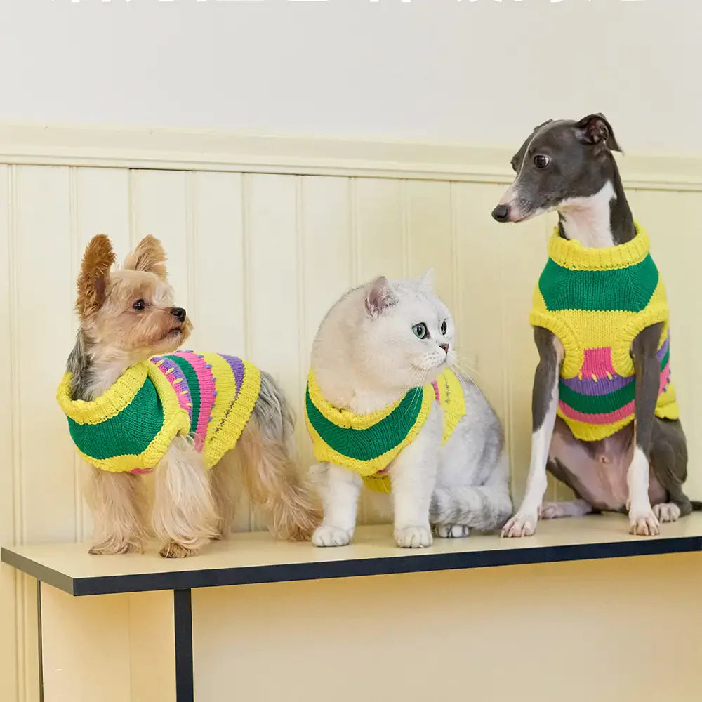 Farbblockierte gestreifte Dackel ärmelloser Hundepullover