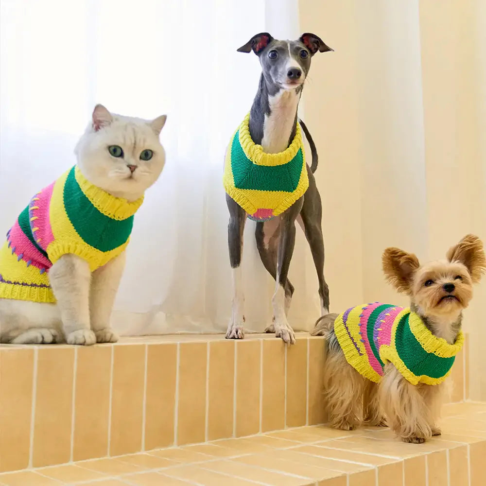 Farbblockierte gestreifte Dackel ärmelloser Hundepullover
