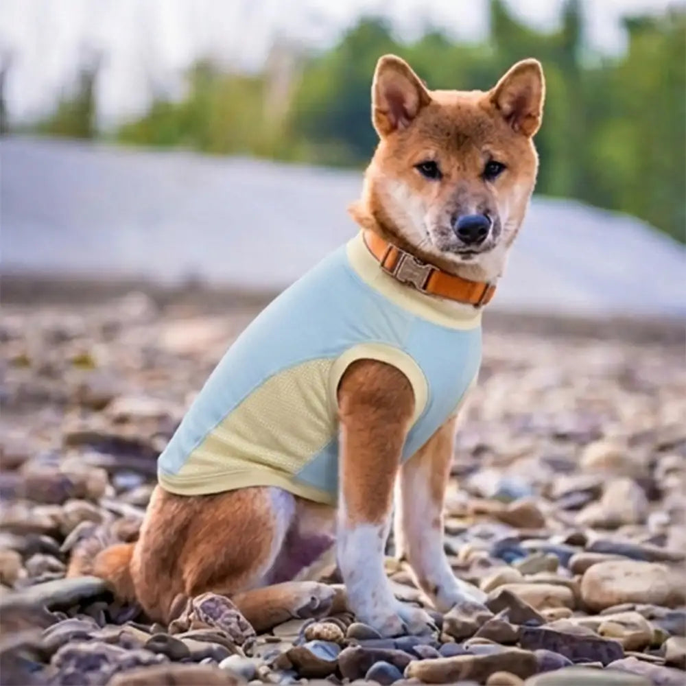 Kühlendes Eissilken-Sonnenschutz-Hundeweste