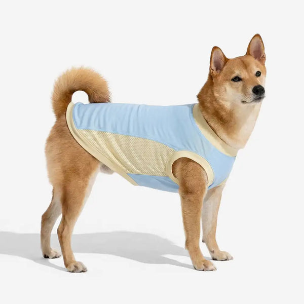 Kühlendes Eissilken-Sonnenschutz-Hundeweste