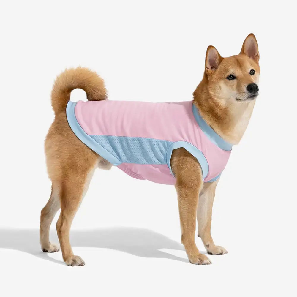 Kühlendes Eissilken-Sonnenschutz-Hundeweste
