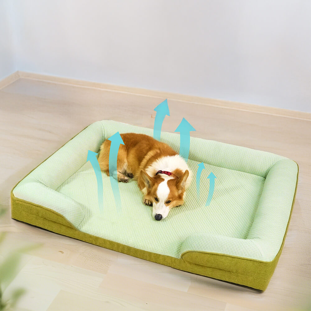 Kühlendes orthopädisches waschbares großes Hundesofa - Außenbereich
