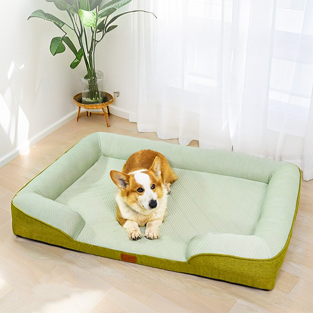 Kühlendes orthopädisches waschbares großes Hundesofa-Bett