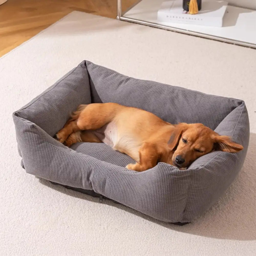 Rippenstruktur Kratzfest Atmungsaktiv Abnehmbar Komfort Hundebett