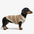 Diamantgestreifter Dackel Hundepullover