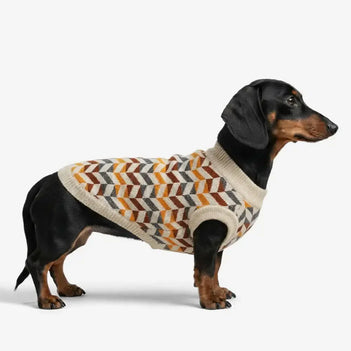 Diamantgestreifter Dackel Hundepullover