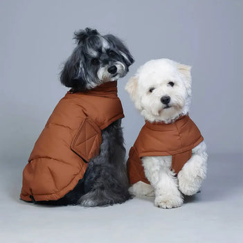 Entenfedern gefüllte Winter Hundeweste Leichtgewichtig Warm Hundemantel mit Leinenring