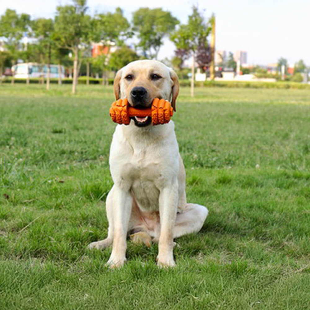 Langsamer Futterspender aus Silikon mit Hantel Langlebiges interaktives Hundespielzeug