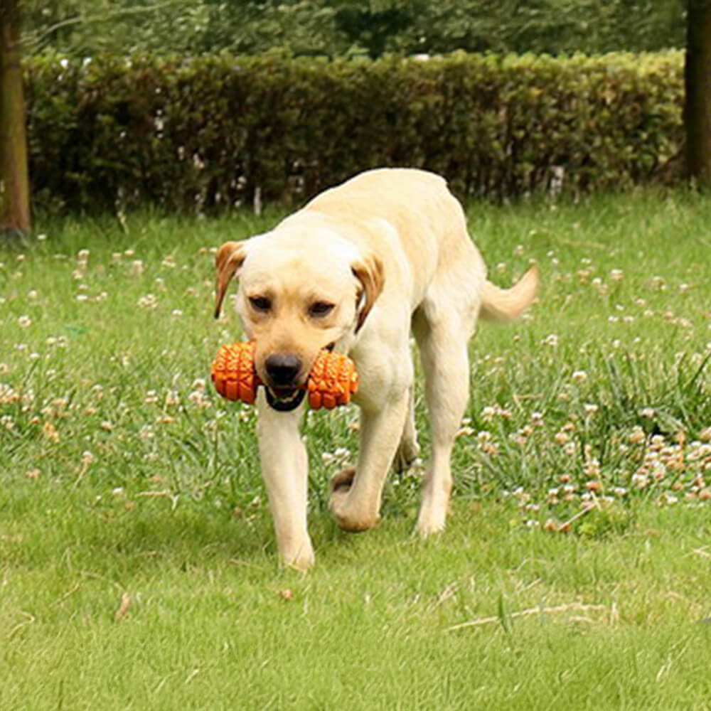 Langsamer Futterspender aus Silikon mit Hantel Langlebiges interaktives Hundespielzeug