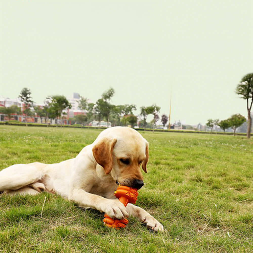 Langsamer Futterspender aus Silikon mit Hantel Langlebiges interaktives Hundespielzeug