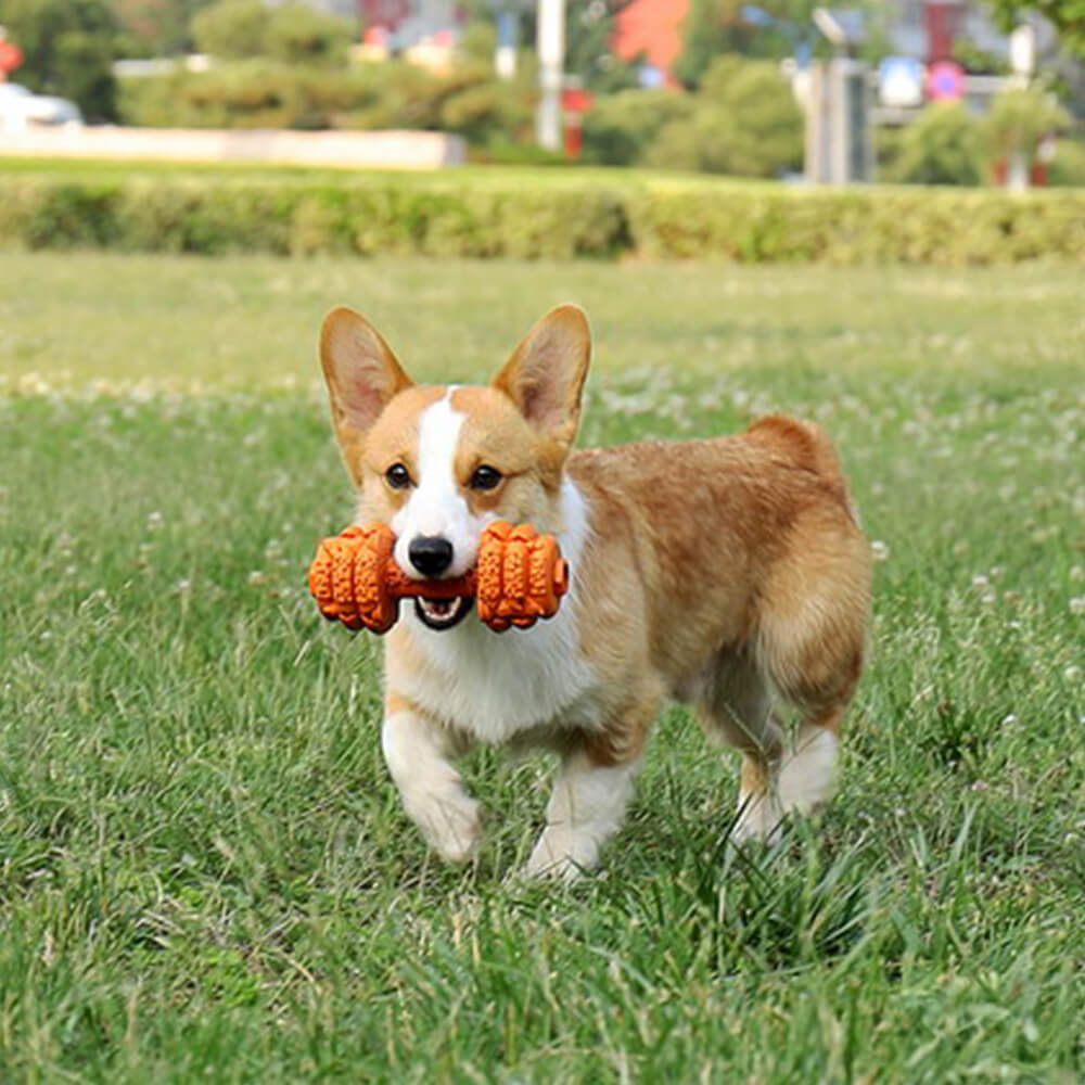 Langsamer Futterspender aus Silikon mit Hantel Langlebiges interaktives Hundespielzeug