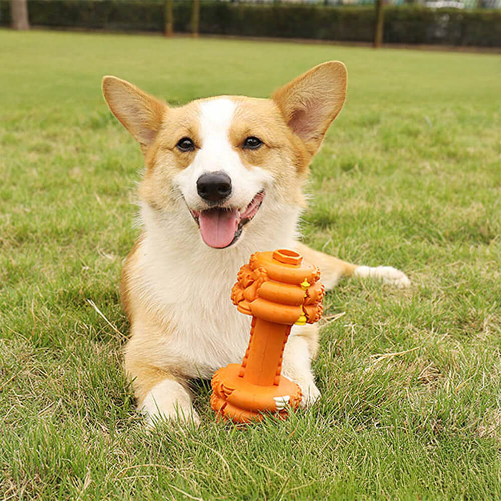 Langsamer Futterspender aus Silikon mit Hantel Langlebiges interaktives Hundespielzeug