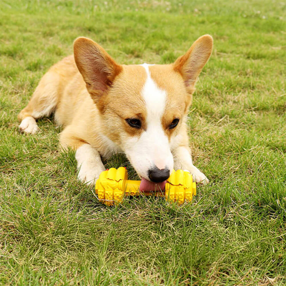 Langsamer Futterspender aus Silikon mit Hantel Langlebiges interaktives Hundespielzeug