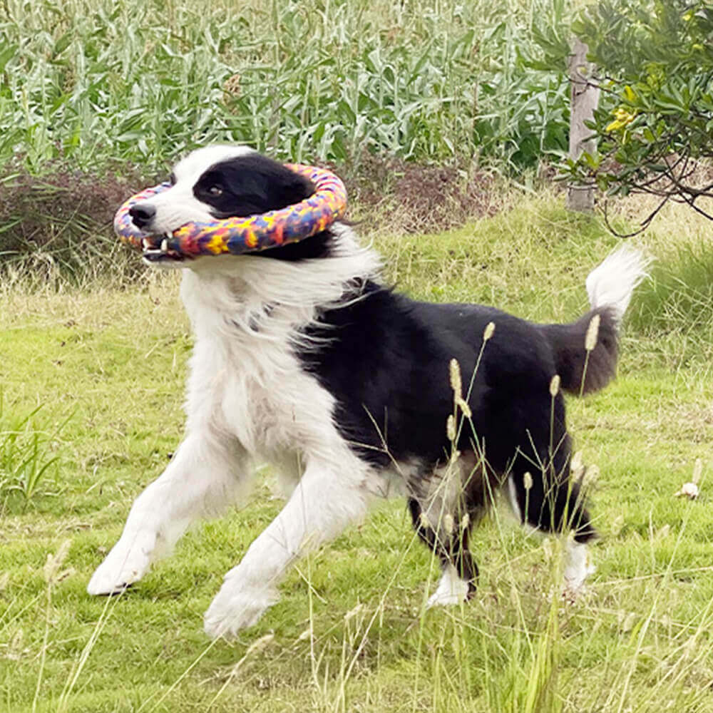 Robustes Hundespielzeug in Camouflage-Optik Kaufestes Seil Schwimmende Wasserspielzeug-Serie