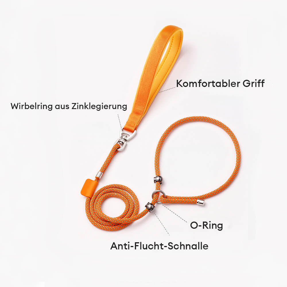 Robuste Trainingsleine für Hunde mit Schlupfleine und Gepolstertem Griff