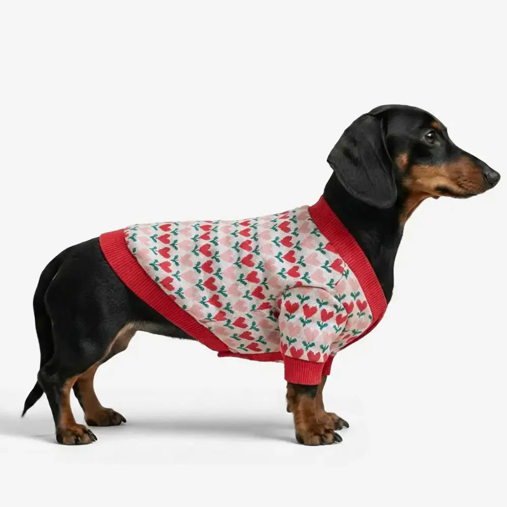 Fair Isle Herzmuster Dachshund Cardigan Hundesweater