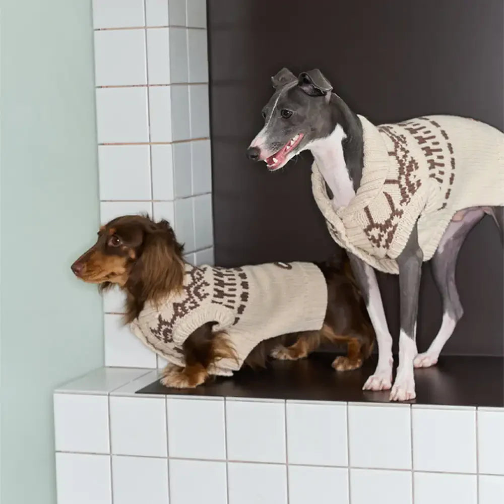 Fair-Isle-Muster Dachshund ärmelloser Hund Pulli