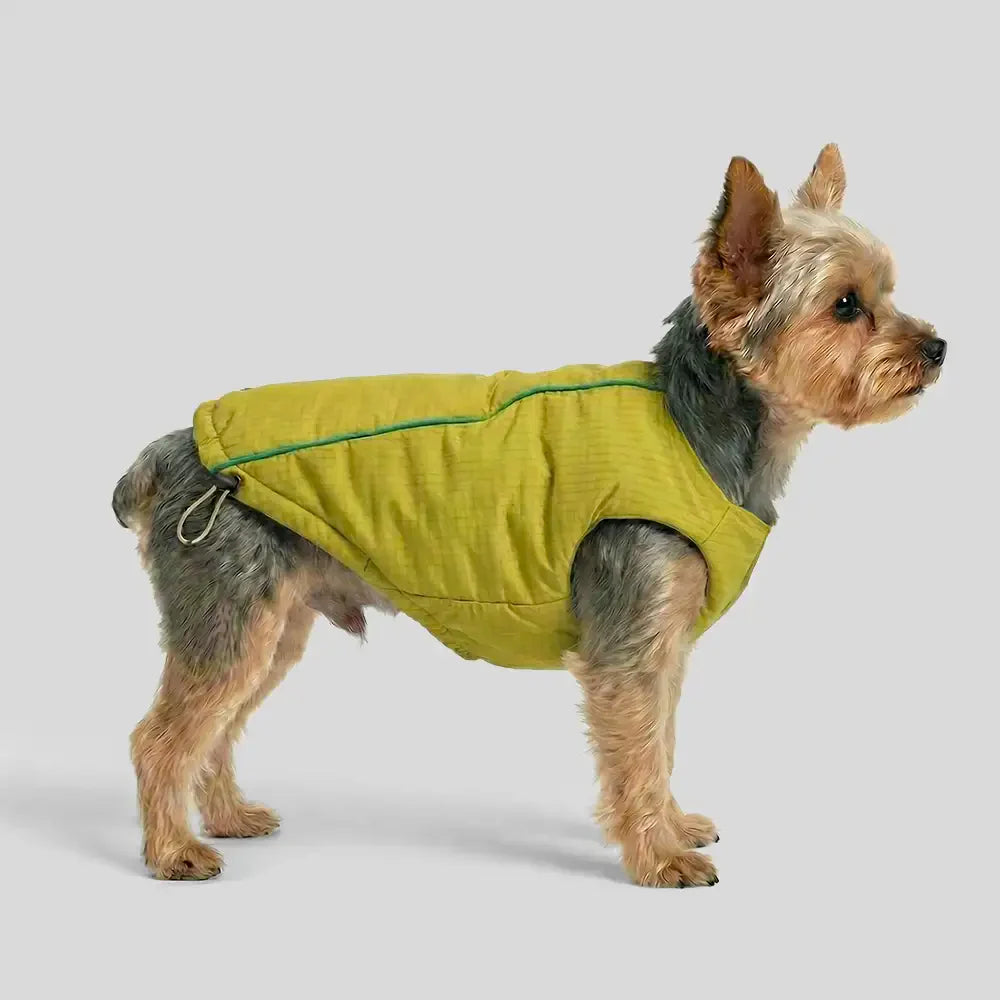 Modische wendbare gepolsterte dicke warme Hundejacke