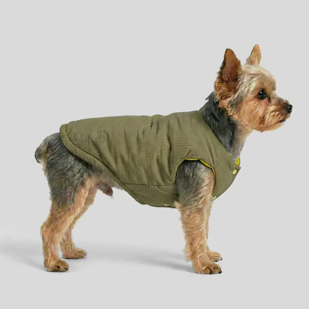 Modische wendbare gepolsterte dicke warme Hundejacke