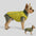 Modische wendbare gepolsterte dicke warme Hundejacke