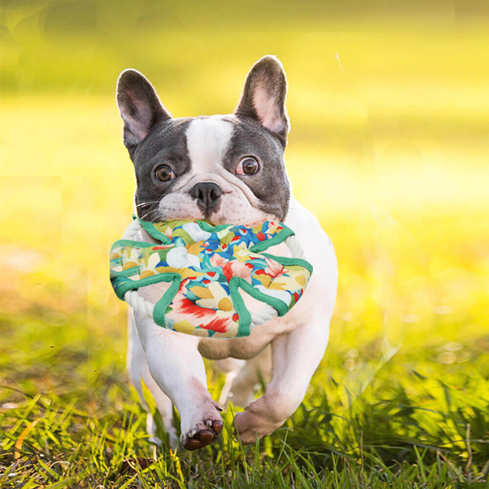 Kaufestes Hundespielzeug aus Canvas mit Blumendruck und Quietschspielzeug