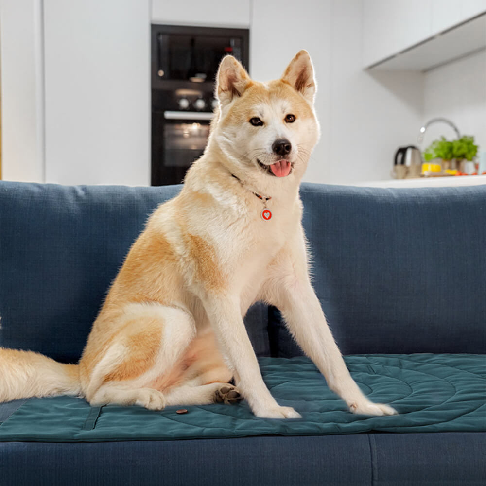 Faltbare wasserdichte tragbare Hundecarpet-Matte Hundecampingmatte