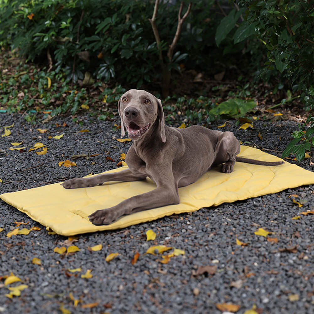 Faltbare wasserdichte tragbare Hundecarpet-Matte Hundecampingmatte