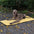 Faltbare wasserdichte tragbare Hundecarpet-Matte Hundecampingmatte