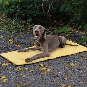 Faltbare wasserdichte tragbare Hundecarpet-Matte Hundecampingmatte