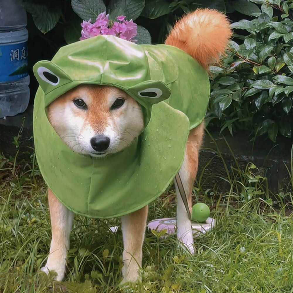 Wasserdichter Leichter Poncho-Regenmantel mit Kapuze für Hunde im Frosch-Design