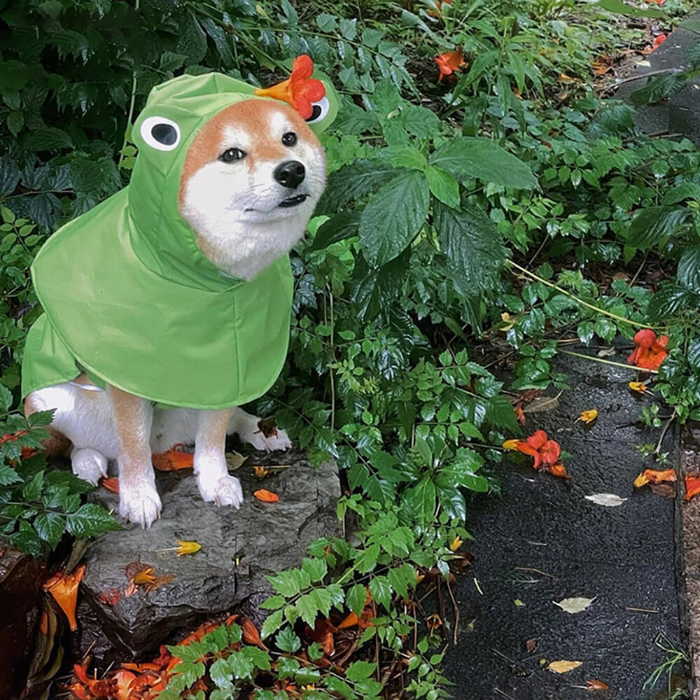 Wasserdichter Leichter Poncho-Regenmantel mit Kapuze für Hunde im Frosch-Design