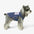 Funktionale farbblockierte, doppelseitige, umkehrbare Hundeweste.